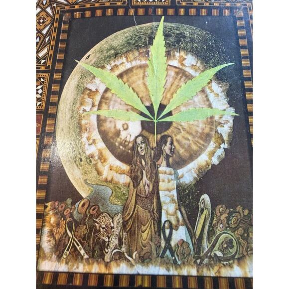 The Primo Plant Growing Sinsemilla Marijuana 1977 1st Edition Mountain Girl - Picture 2 of 10